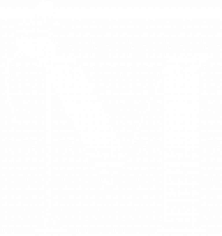 Monkey Creations_Webdesign Hamburg_Logo weiß klein